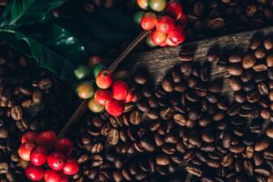 Café: Arábica sobe mais de 1% em Nova York e puxa preços no mercado...