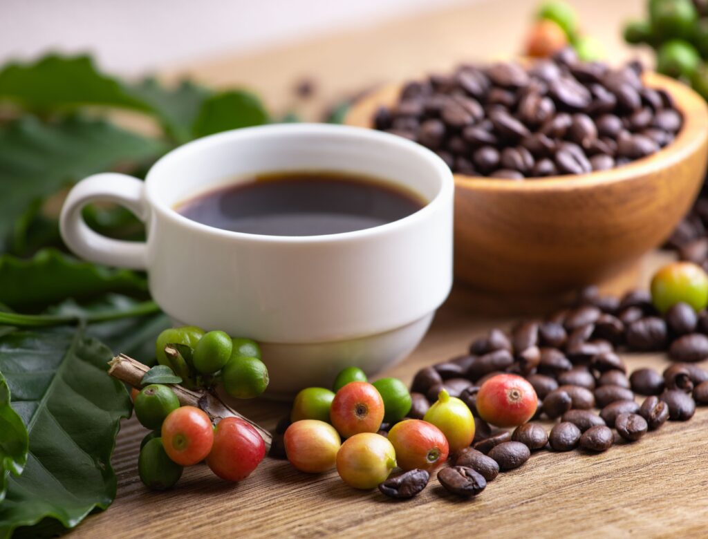 Preço do Café em Manhuaçu Hoje | Cotação Atualizada