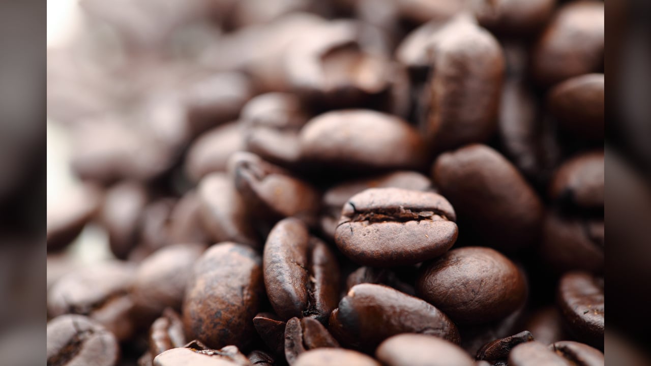 Após dias de alta, mercado do café fecha sessão desta 3ª feira (12) em queda