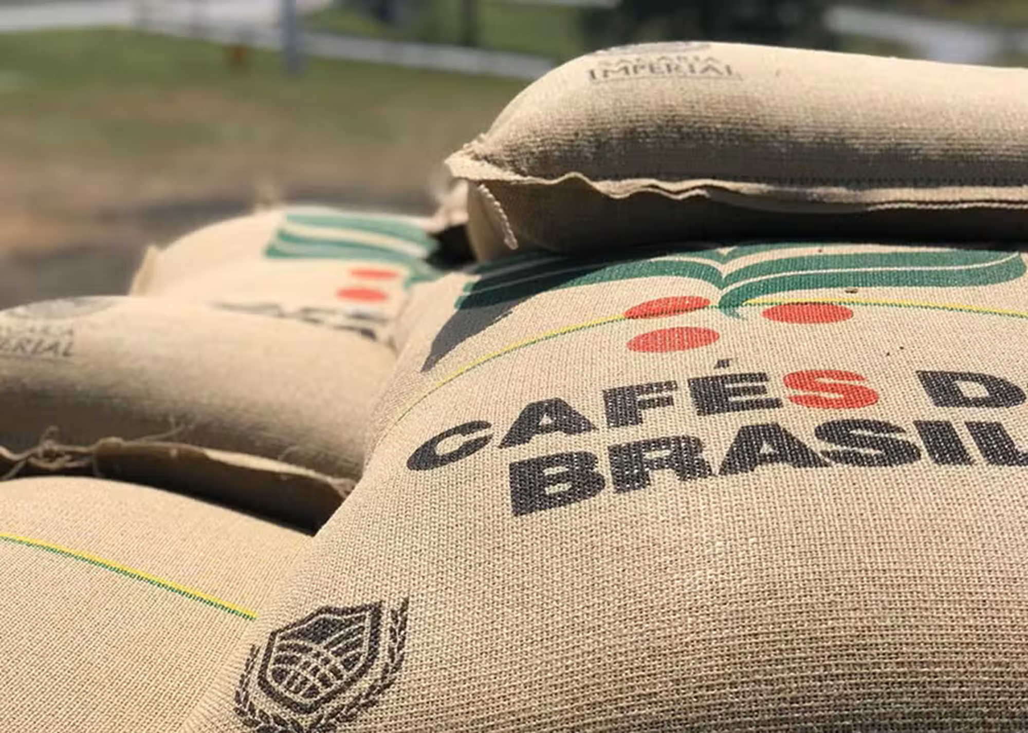 Média faturada de embarques de café não torrado apresenta baixa na 2ª semana...