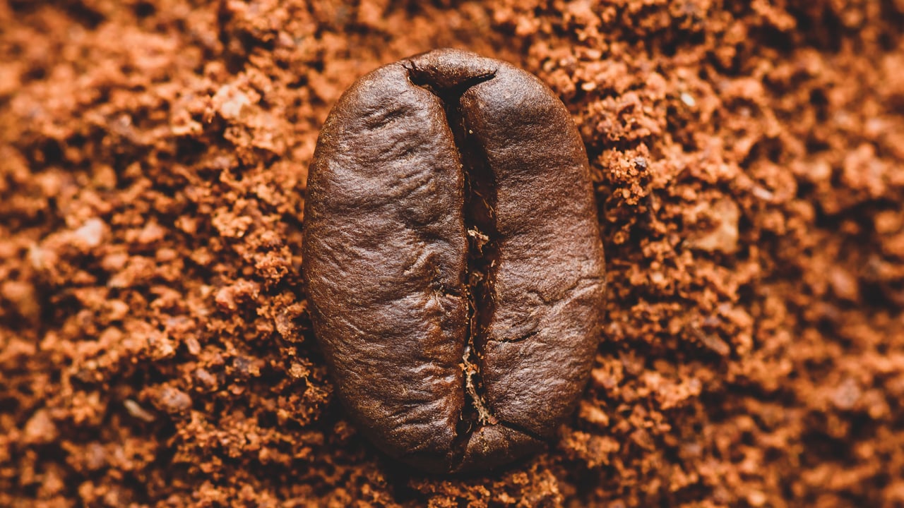 Preços do café arábica trabalhavam com fortes quedas na manhã desta 3ª feira...