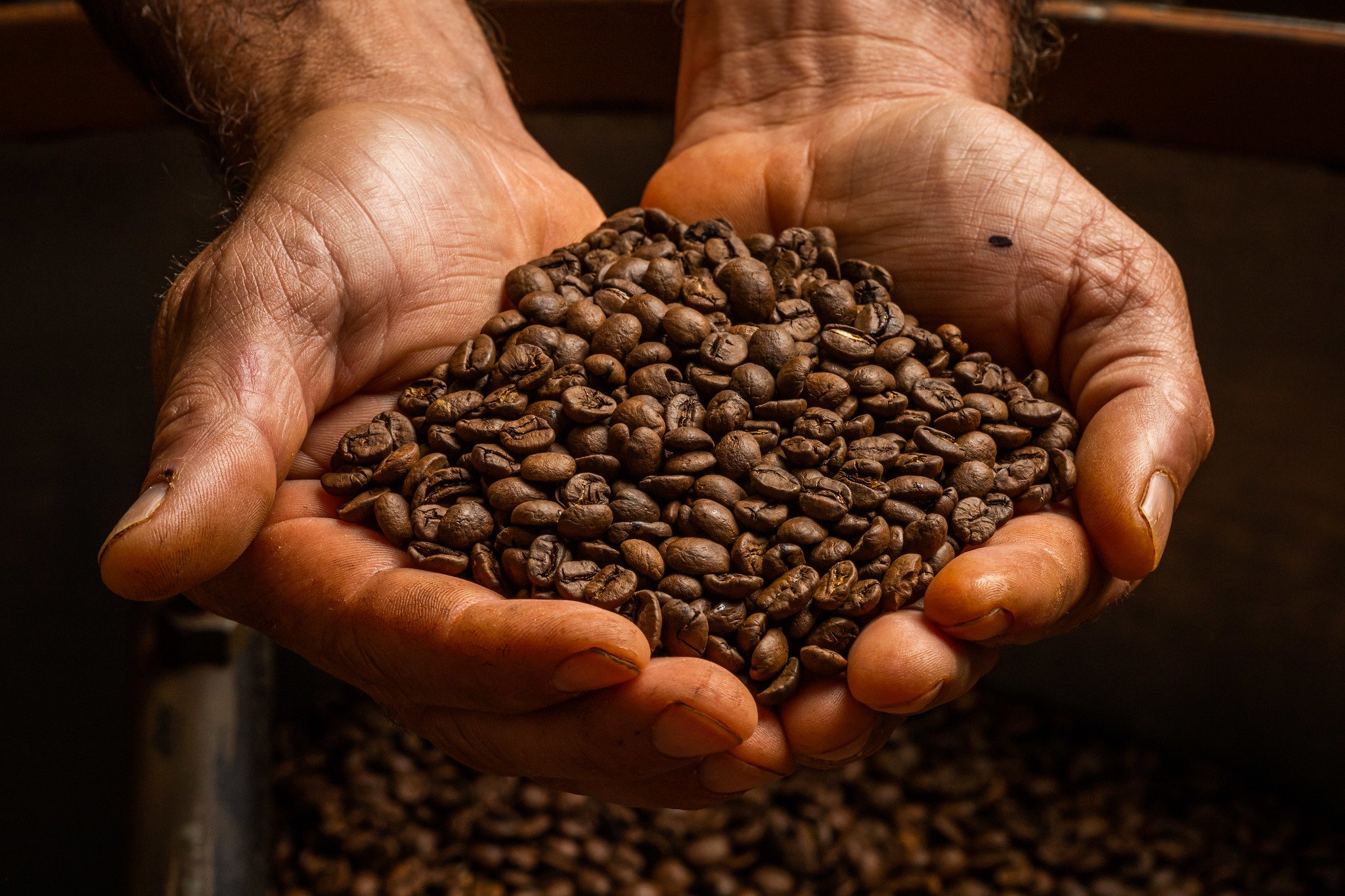 Conselho Nacional do Café (CNC) se pronuncia sobre o adiamento da EUDR