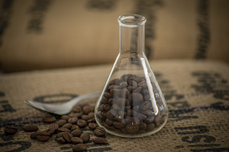 Estudo mostra que extratos de café podem ajudar no controle da dengue
