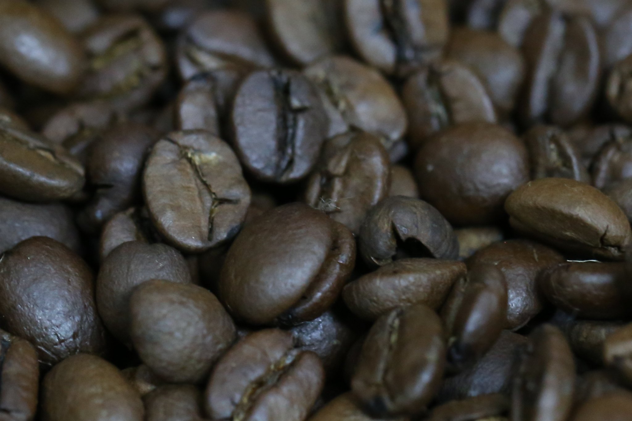 Uganda prevê aumento de 15% na produção de café em 2025/26