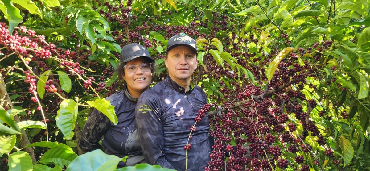 Porta de entrada do café no Brasil, Amazônia vê retomada do cultivo com protagonismo do robusta