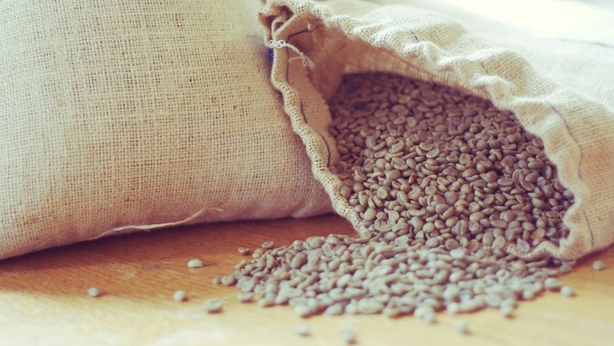 Exportações de café para os EUA devem se normalizar em seis meses