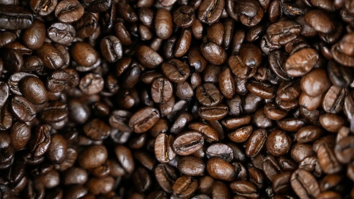 Preços do Café e do Cacau Caem em Meio a Algum Alívio Tarifário dos EUA