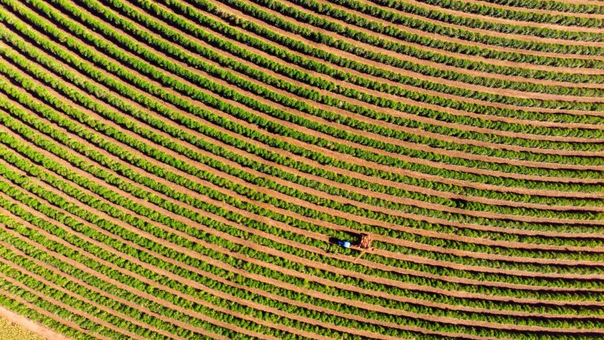 R$ 1 Bi para Erguer a Maior Fazenda de Café Arábica Irrigado do Mundo em Minas
