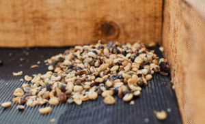 Mapa alerta para café torrado com irregularidades