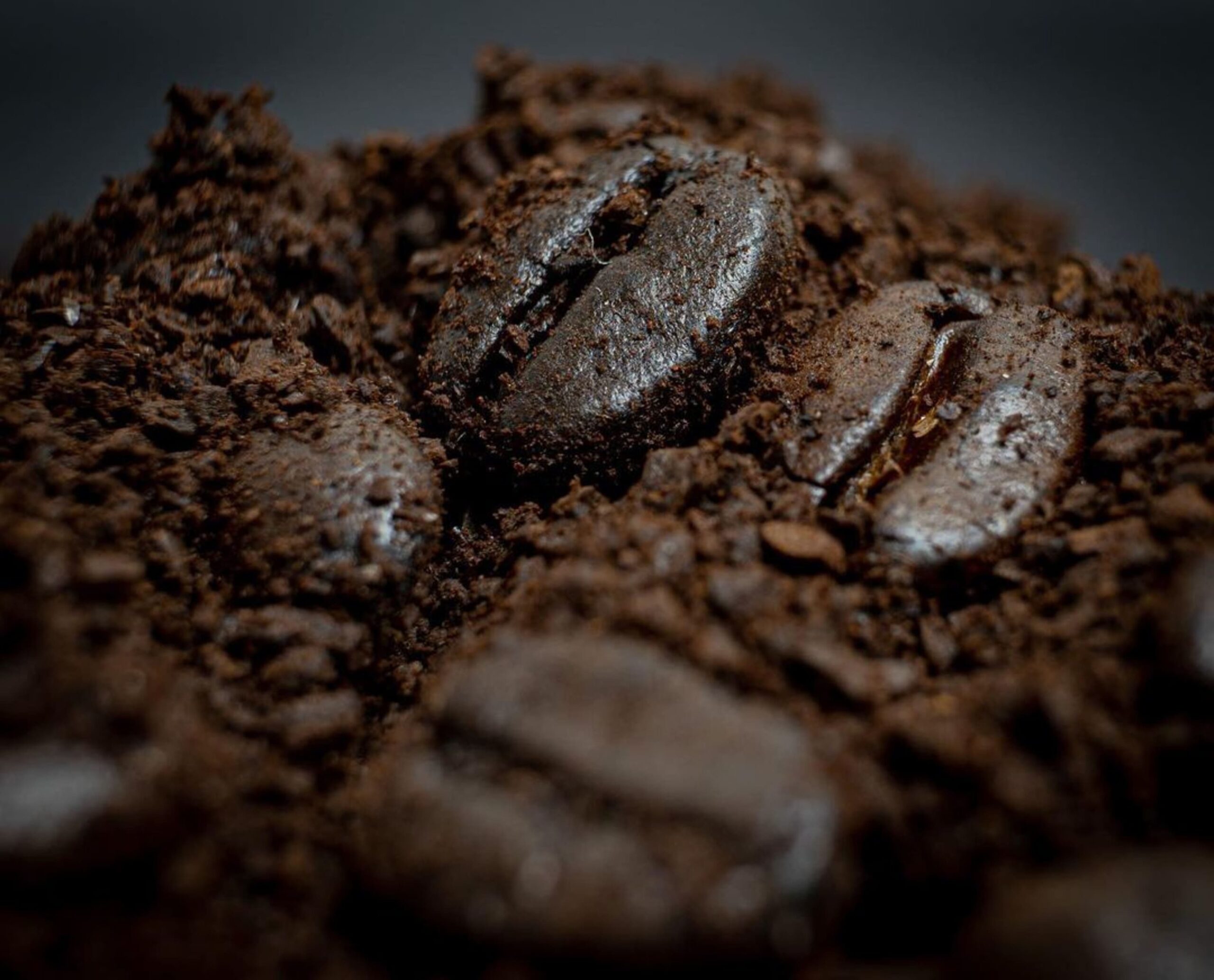 Tarifaço dos EUA interrompe recorde nas exportações de café solúvel do Brasil