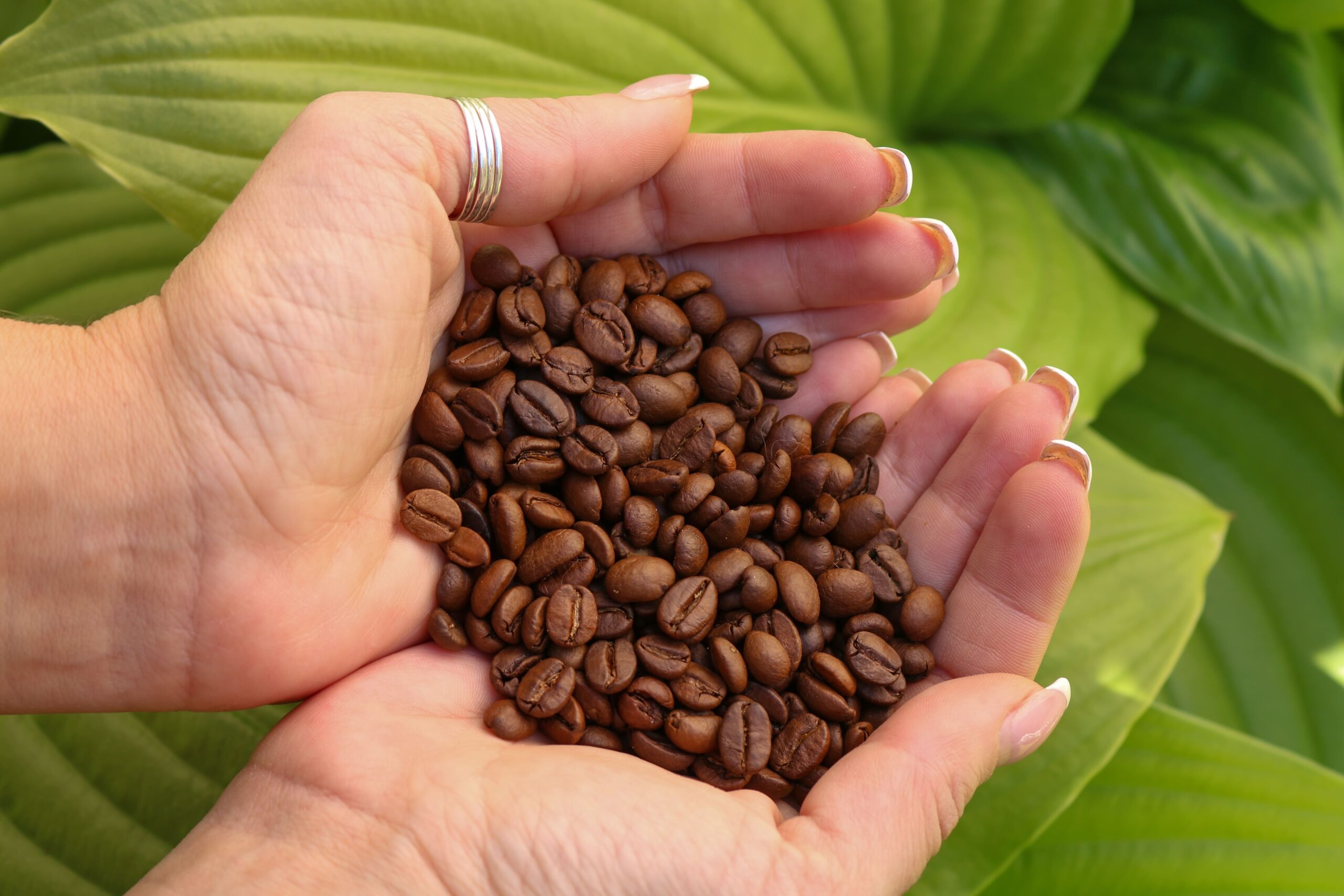 Café: Queda do dólar consolida altas nas bolsas internacionais no...