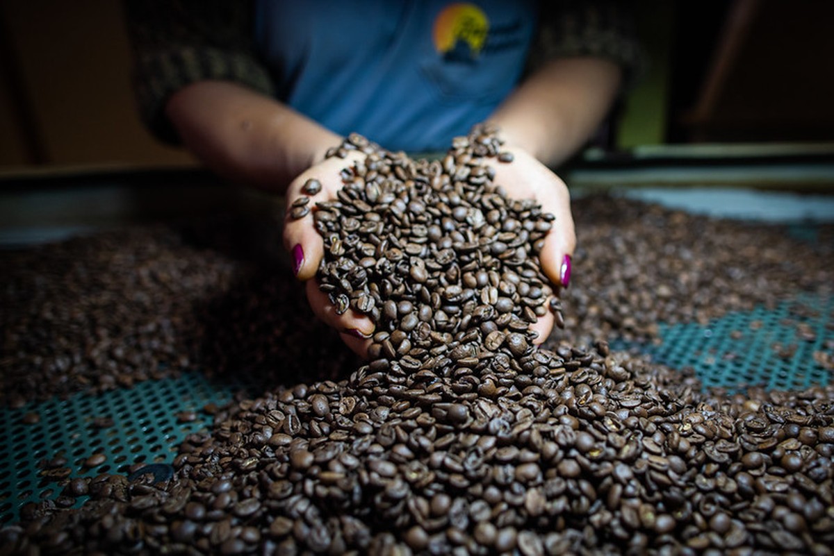 Café abre o dia em queda na bolsa de Nova York