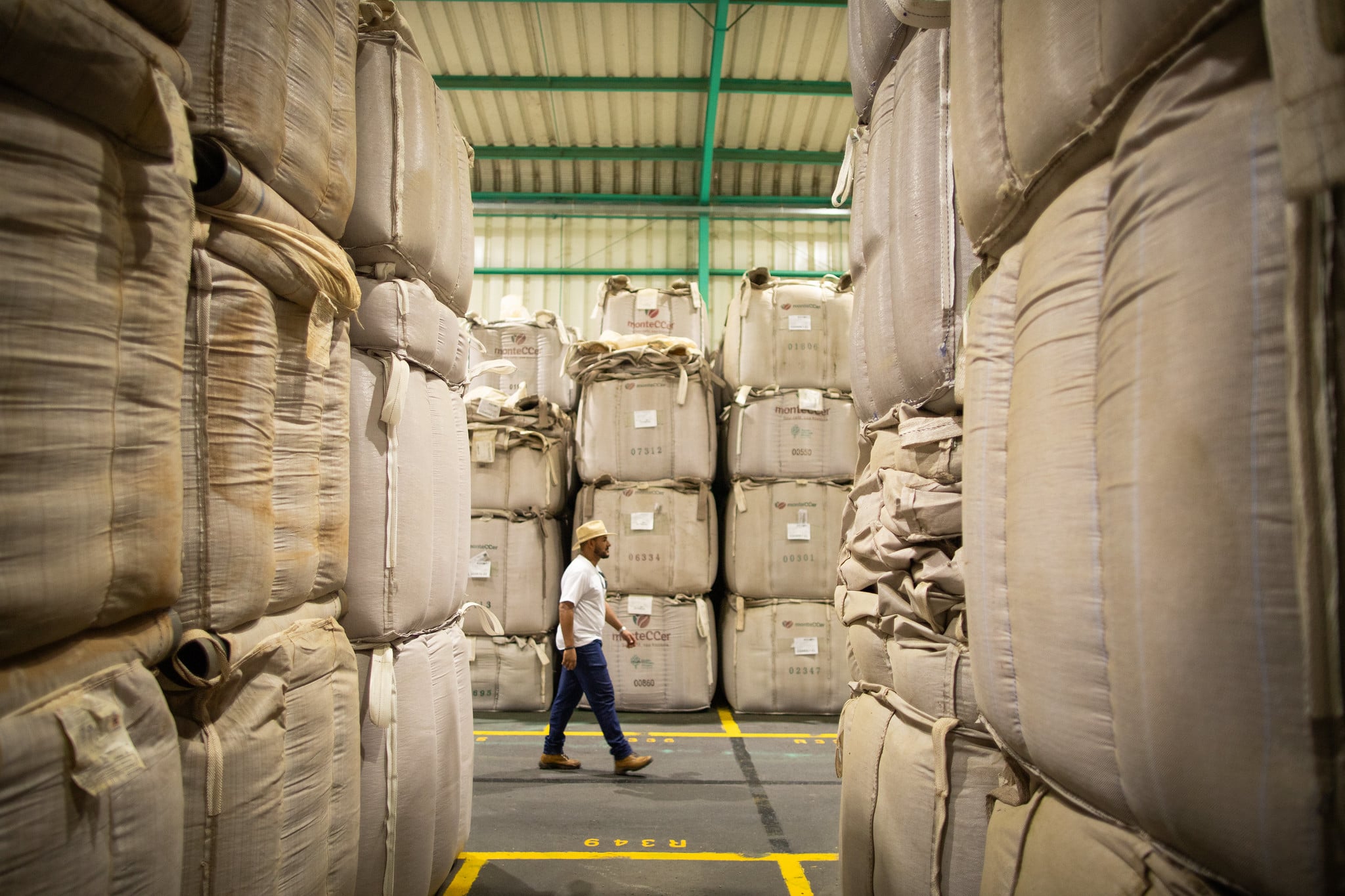 Exportadores de café encerram 2025 com prejuízo logístico de R$ 66,1 mi...