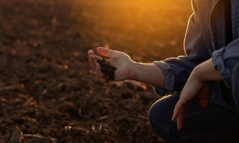 Conhecer os tipos de solos do Brasil garante lavouras produtivas - Hub do Café