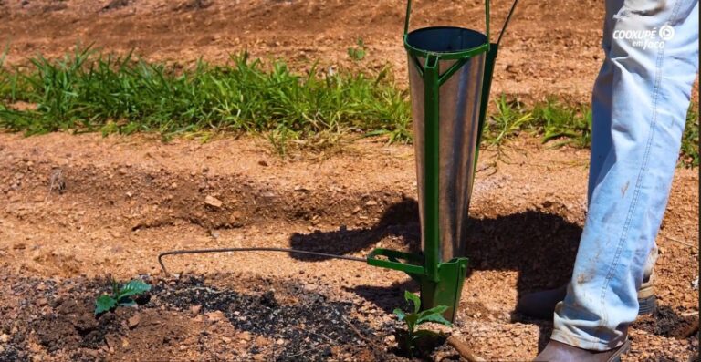 Plantadeira de café manual traz mais eficiência e rendimento ao plantio