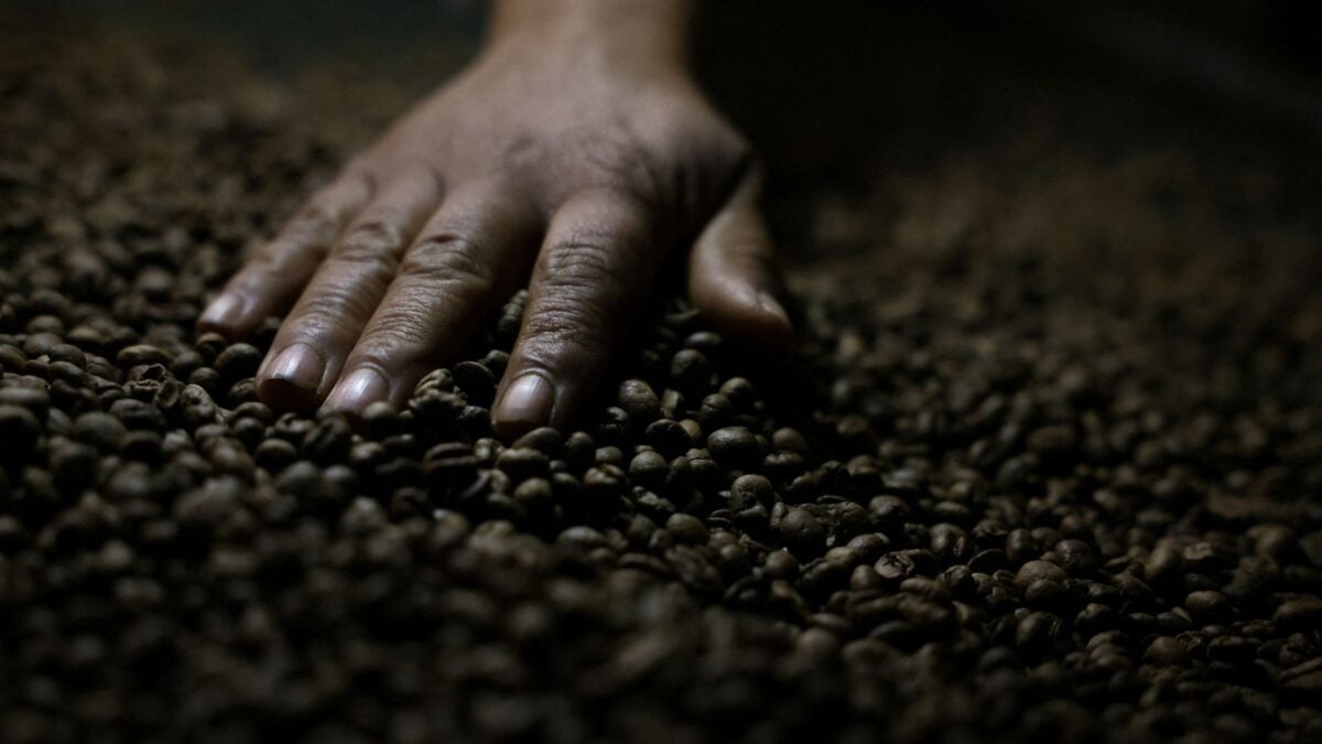 Exportação de Café Solúvel do Brasil para os EUA Recua 28% em 2025