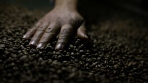 Indústria de Café Solúvel Pede Isenção de Tarifa de 50% Mantida Pelos EUA