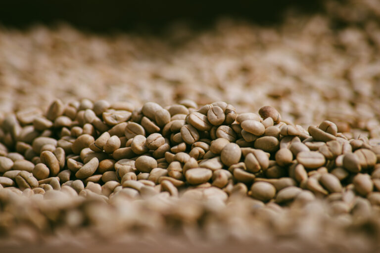 Terroir: descubra como a procedência do café influencia o sabor da sua bebida – Hub do Café