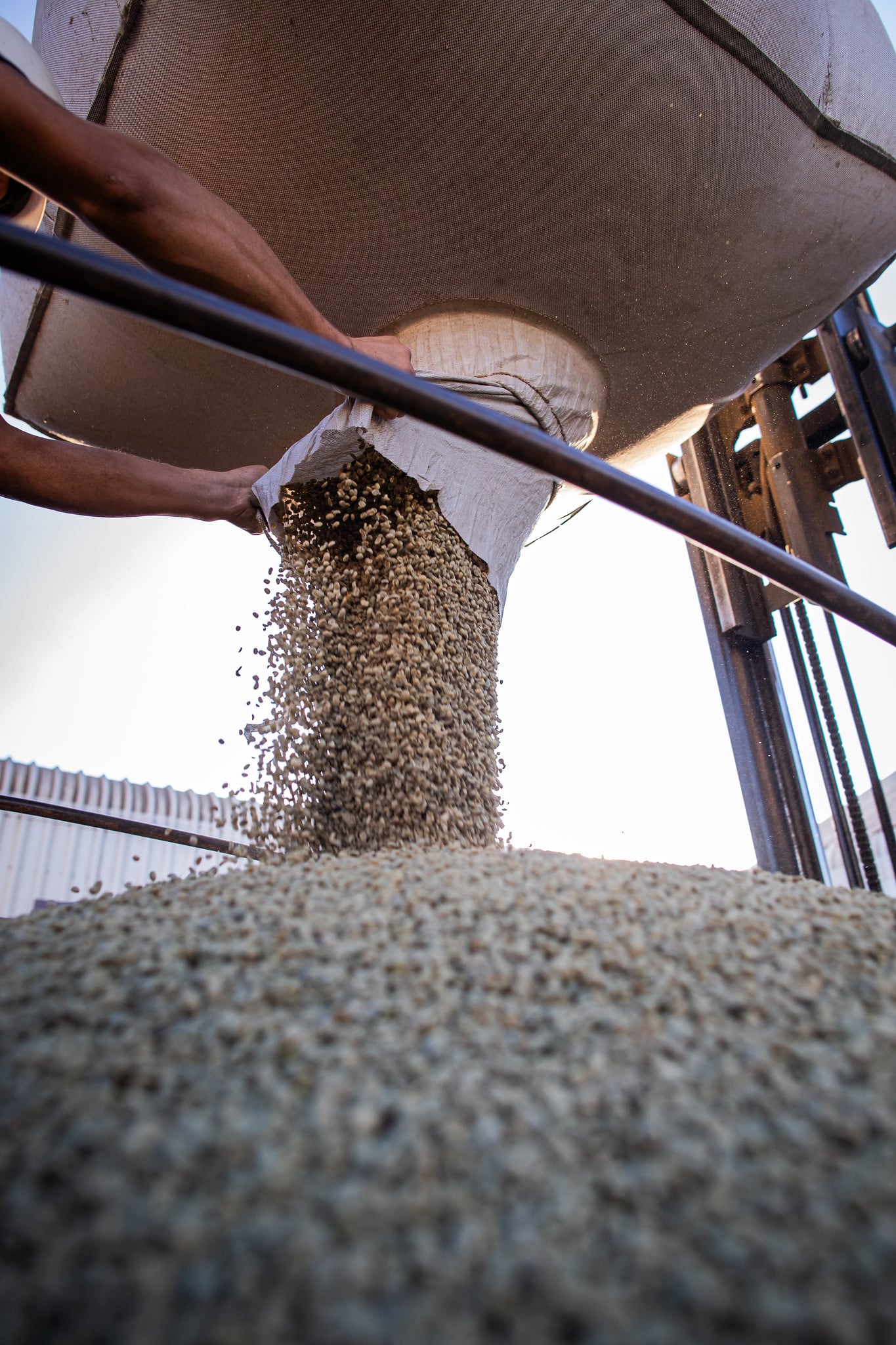 Vendas da colheita de café do Brasil para 2026/27 estão “lentas”, afirma a Safras &…