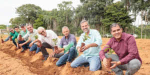 Emater Goiás aposta no café e fortalece o cultivo em Goianésia
