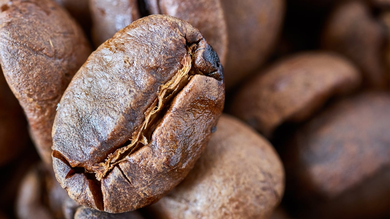 Perspectiva de oferta favorável continua a pressionar os preços do café nas bolsas…