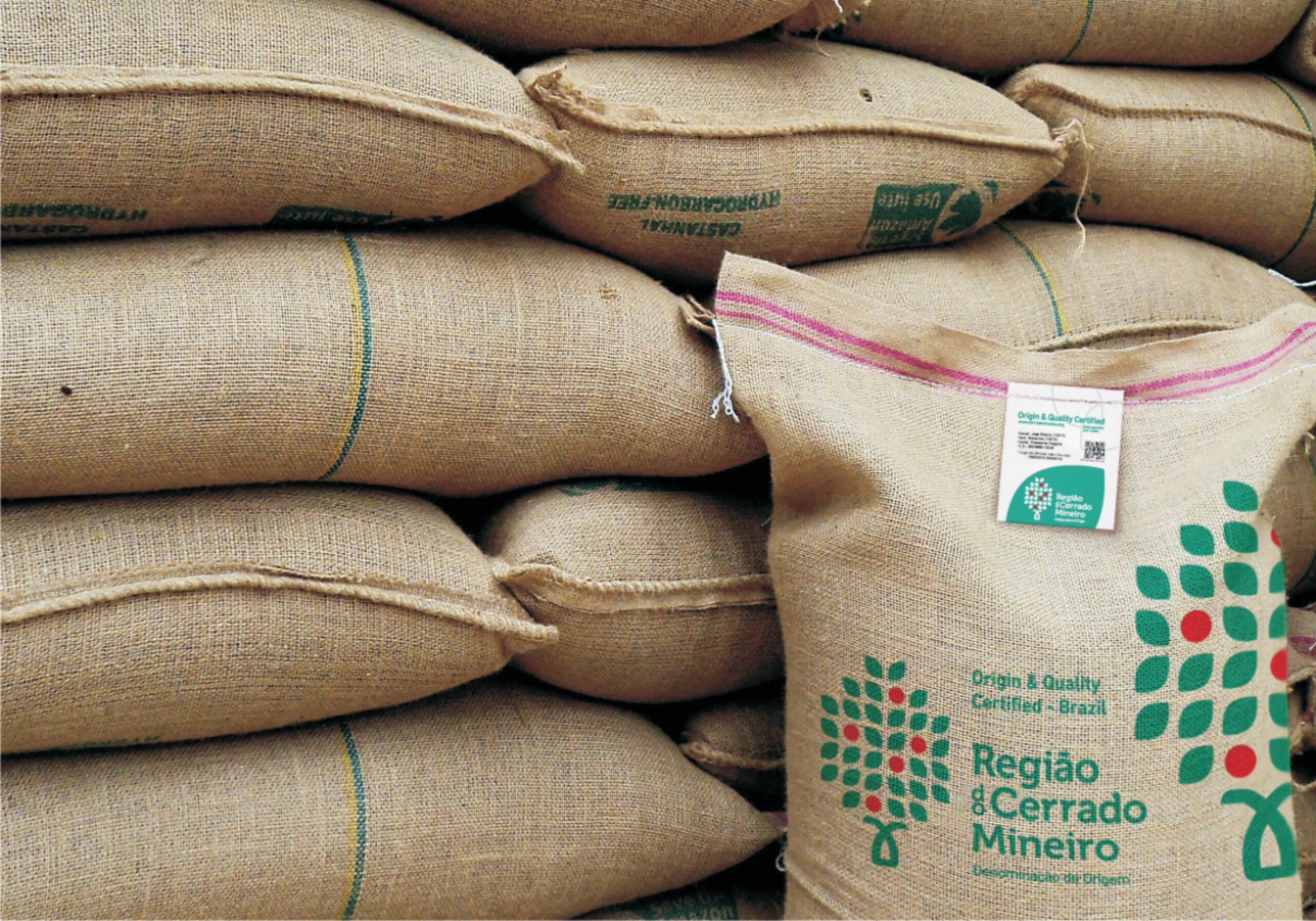 Café começa a quinta-feira com leve queda nas bolsas, enquanto investidores observam…