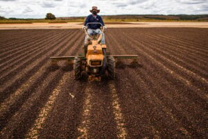 Café reage após forte queda e fecha em alta com suporte do câmbio e ajustes...