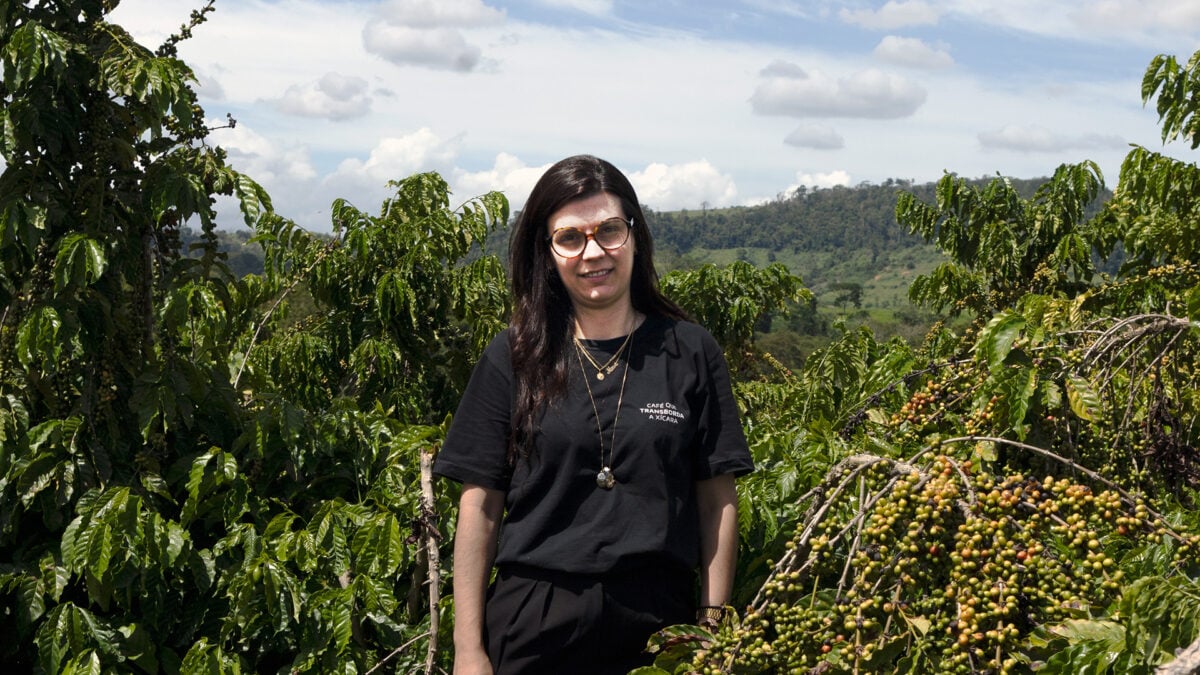 Cientista Brasileira Coloca o Café Conilon entre as Grandes Bebidas do Mundo