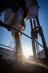 Abertura do café começa mista nas bolsas, com arábica em alta e robusta em queda