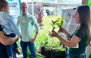 Produtores buscam técnicas para ampliar sustentabilidade na produção de café