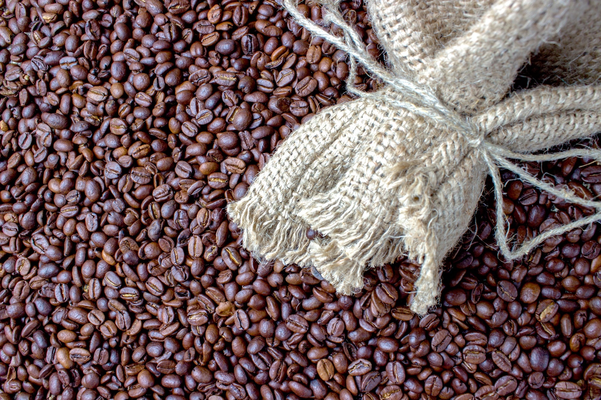 Vendas de café do Brasil na safra 2026/27 seguem lentas, diz Safras & Mercado