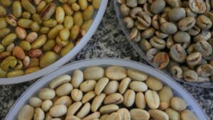 Preços do Café Caem Ainda Mais no Vietnã e Produtores Seguram o Grão em Casa