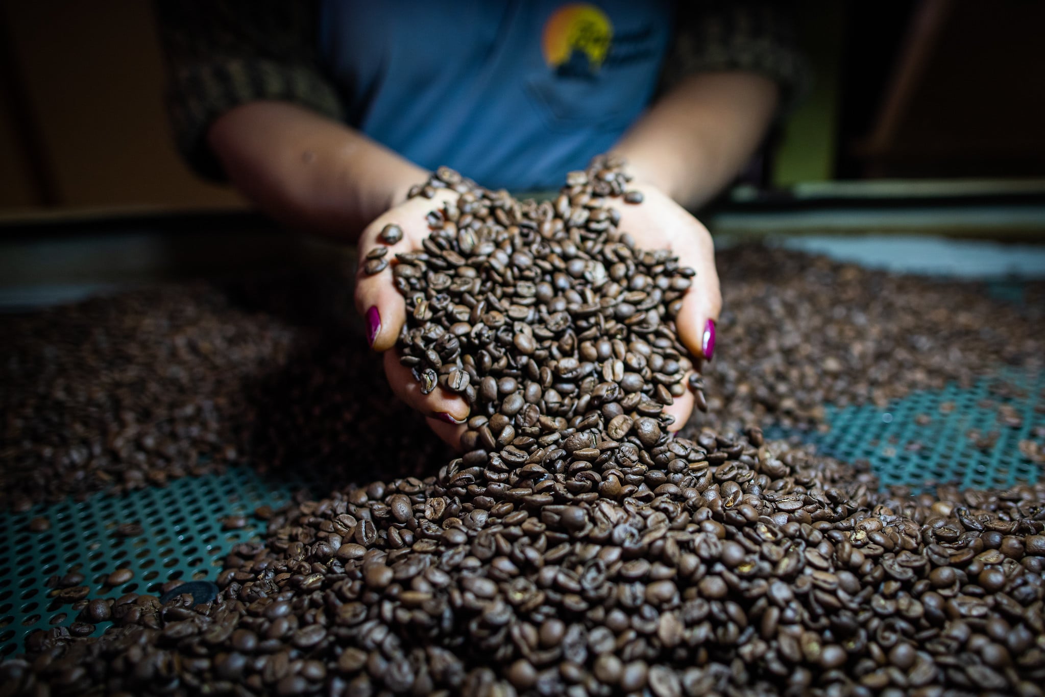 Café/Cepea: Arábica apresenta alta em março, enquanto robusta sofre queda de valor.