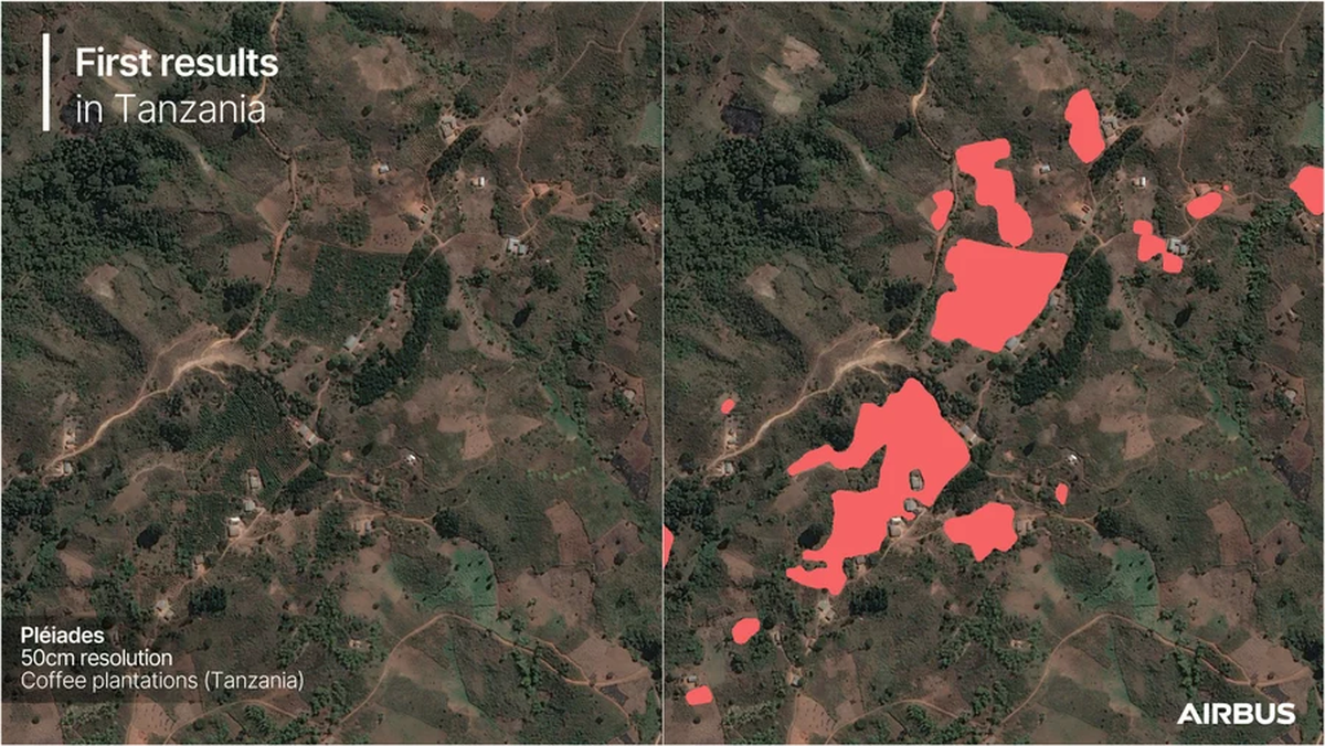 Imagens de satélite criam um mapa mundial das lavouras de café.