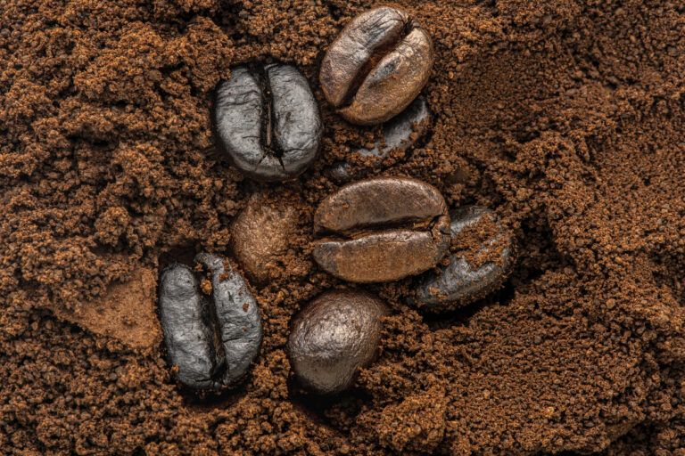 Truque caseiro com café moído elimina maus odores da casa em segundos