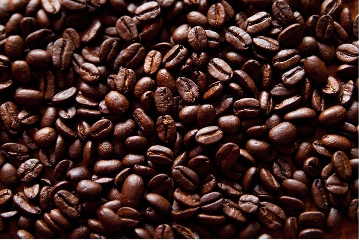 Projeção de oferta de café provoca queda de 4% nos preços em Nova York.