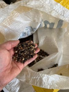 Operação apreende mais de 82 mil quilos de produtos relacionados à produção de café torrado