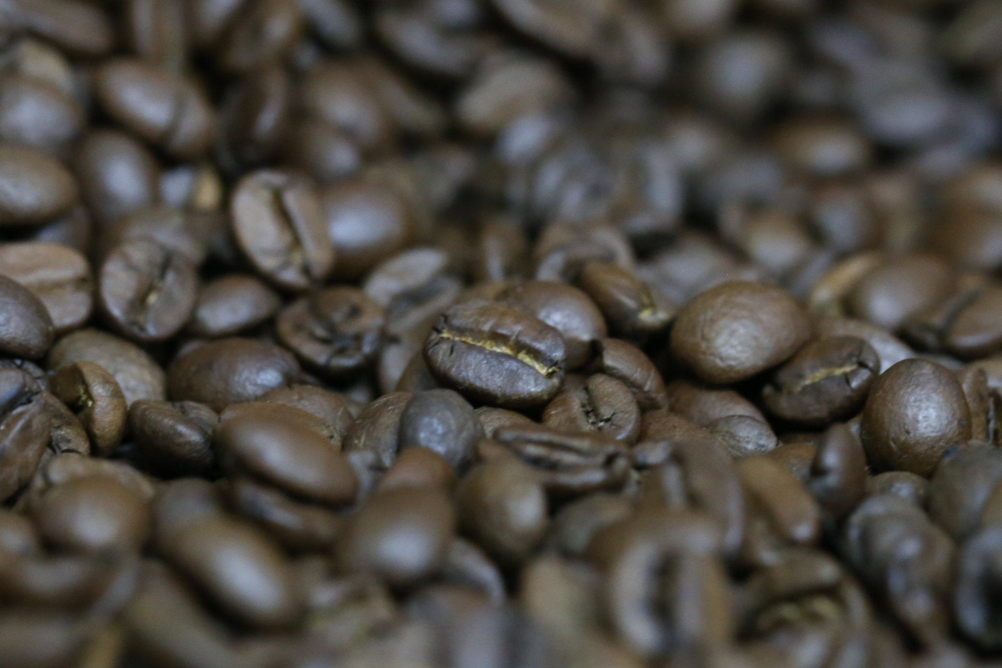 Café se recupera após quedas recentes e encerra o dia com valorização de até 2,25% em Nova Iorque.
