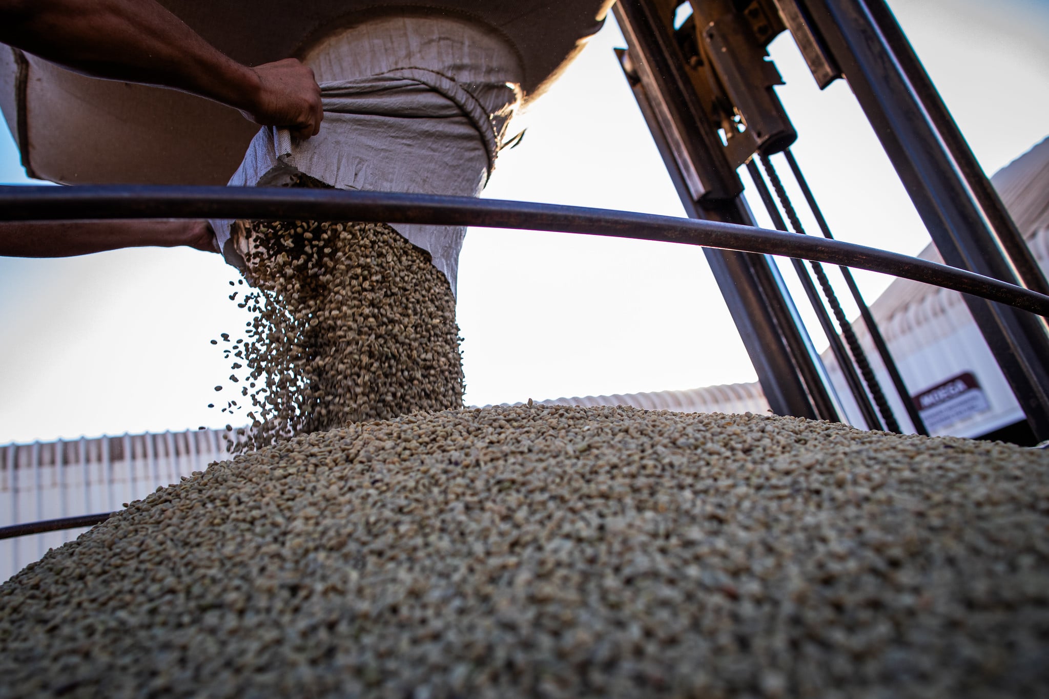 Diretor da Eisa prevê que as exportações de café do Brasil em 2026/27 alcançarão níveis recordes.