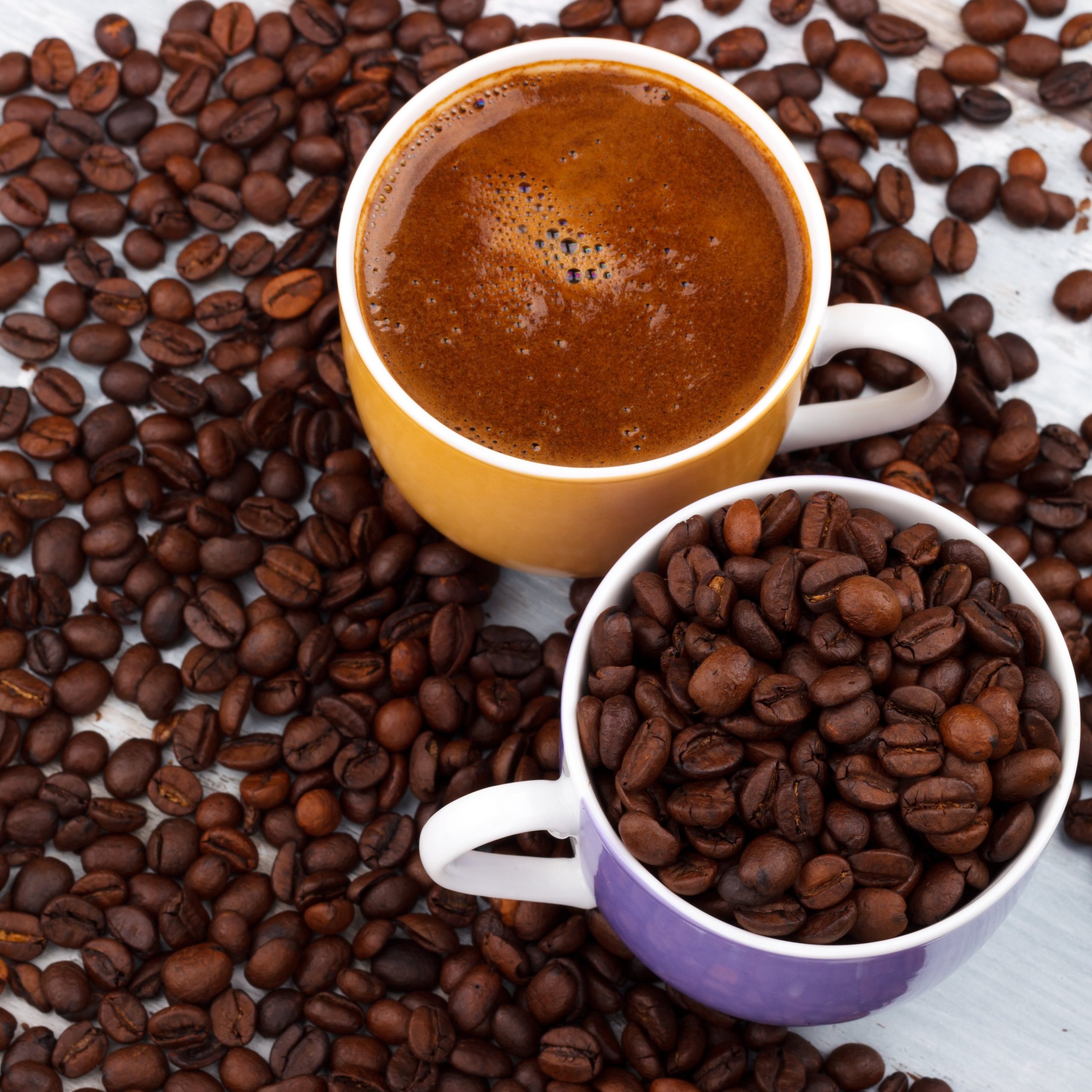 Colheita avança no Brasil e preço do café inicia junho sob pressão nas bolsas.