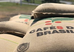 Exportações de café devem aumentar com avanço na colheita do arábica