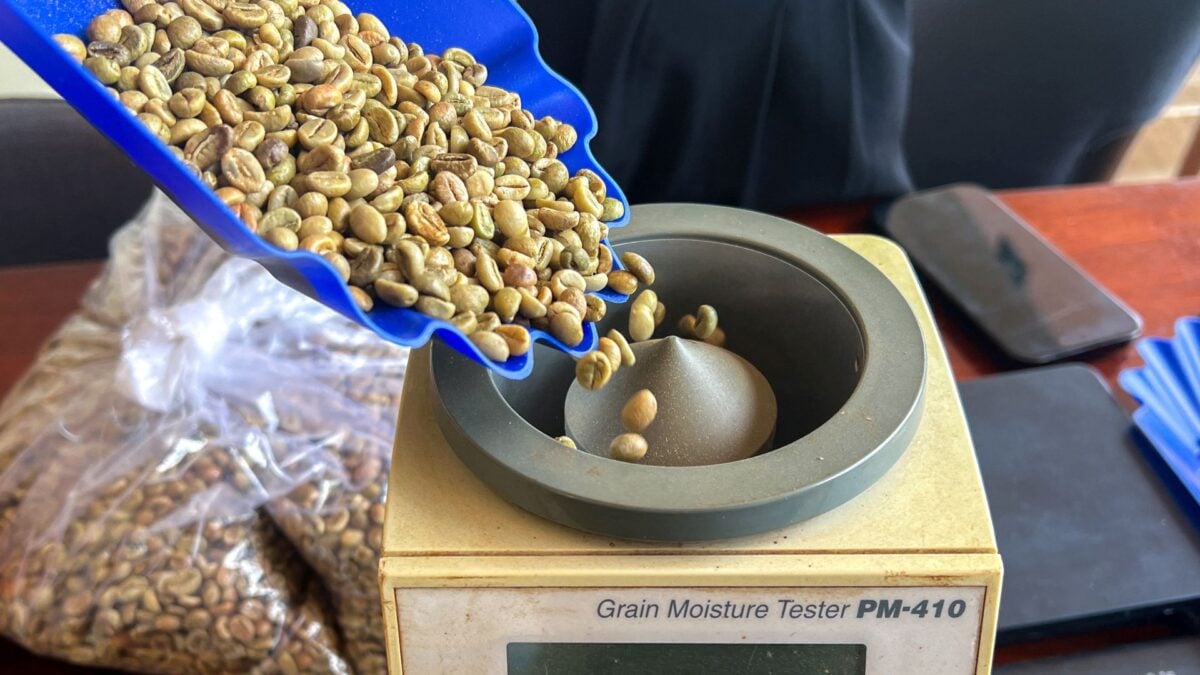 Preço do Café Robusta no Vietnã Permanece Inalterado em um Mercado Lento e com Chuvas no Brasil.