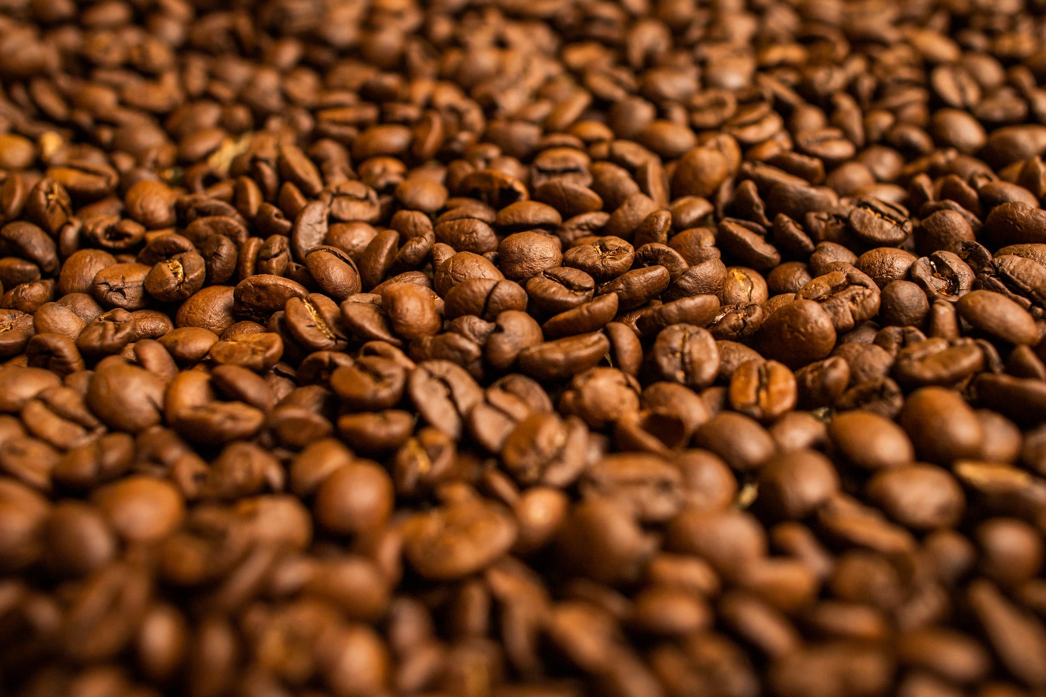 Café encerra com valorização de 4,58% em Nova York, impulsionando a recuperação com…