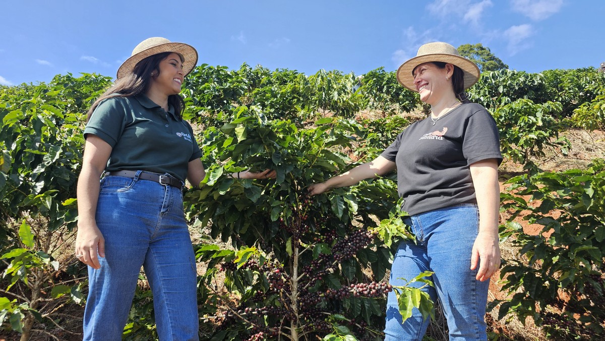 Café premium promove aumento de renda e turismo rural em Minas Gerais.