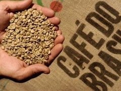 Exportação de café brasileiro pode crescer em 2026/2027, mas enfrenta desafios na…
