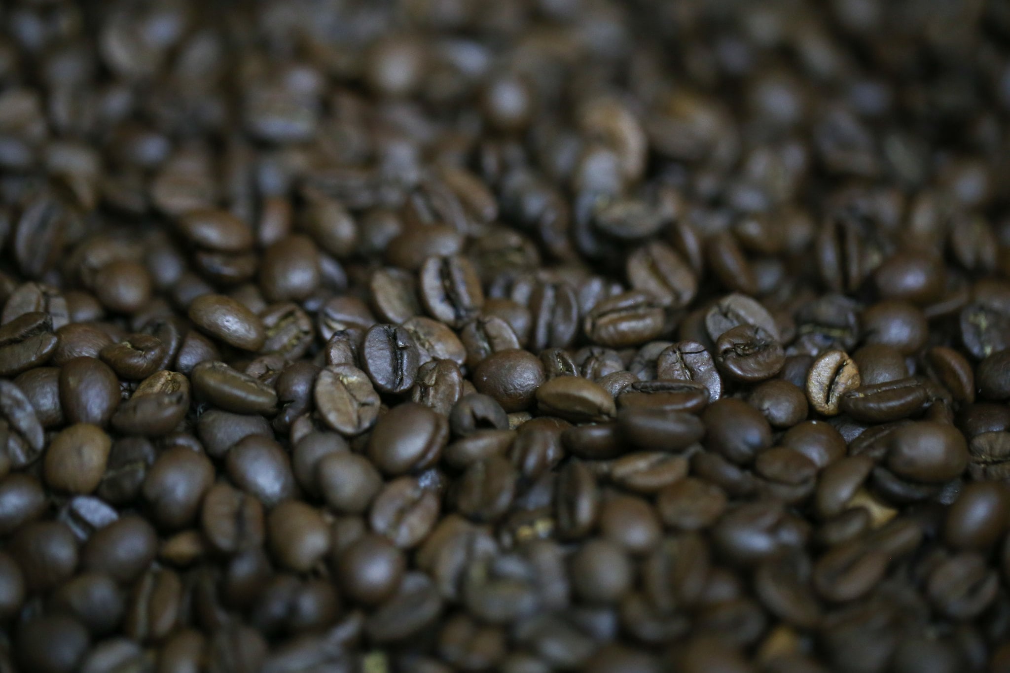 Café tem queda superior a 4% em NY nesta quarta-feira (26) devido à expectativa de…