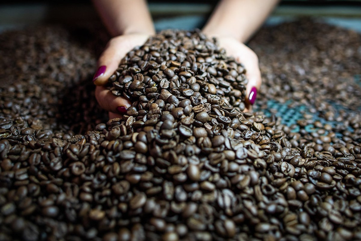 Café varia em Nova York devido às chuvas no Brasil e ajustes de posições.