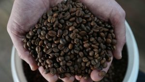 Colheita de Café 2026/27 no Brasil Atinge 90% da Produção com Avanço Semanal de 6 Pontos