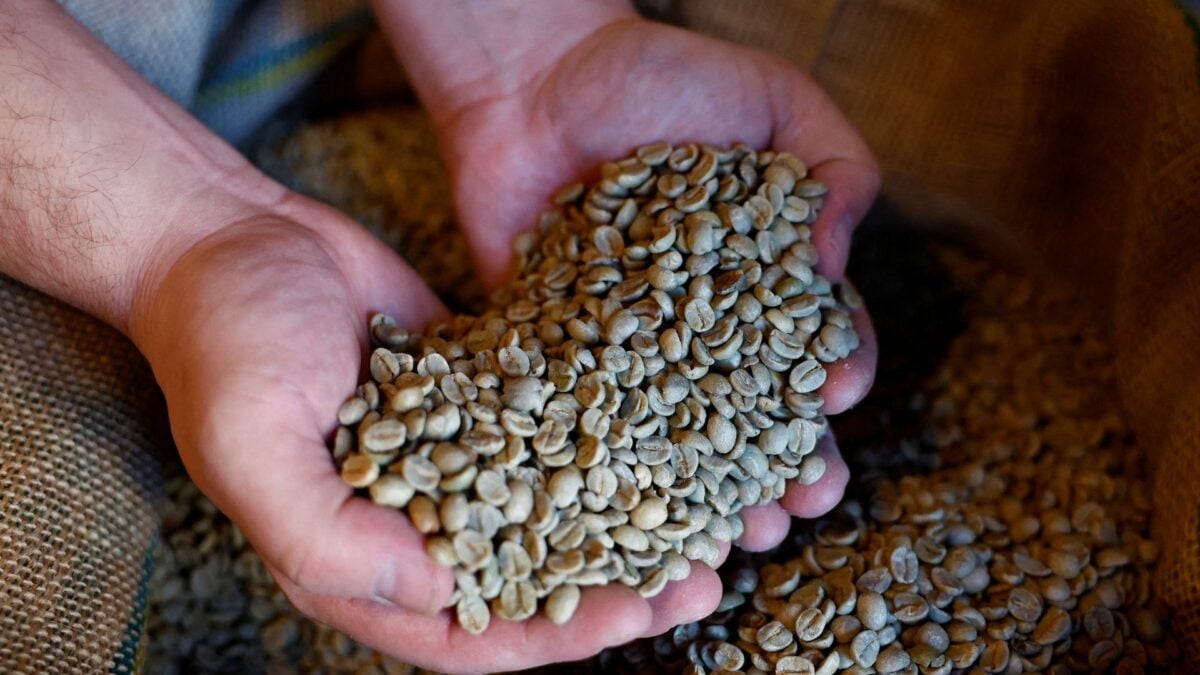 Exportações Globais de Café Verde Cresceram 0,8% em Junho, Afirma a OIC.
