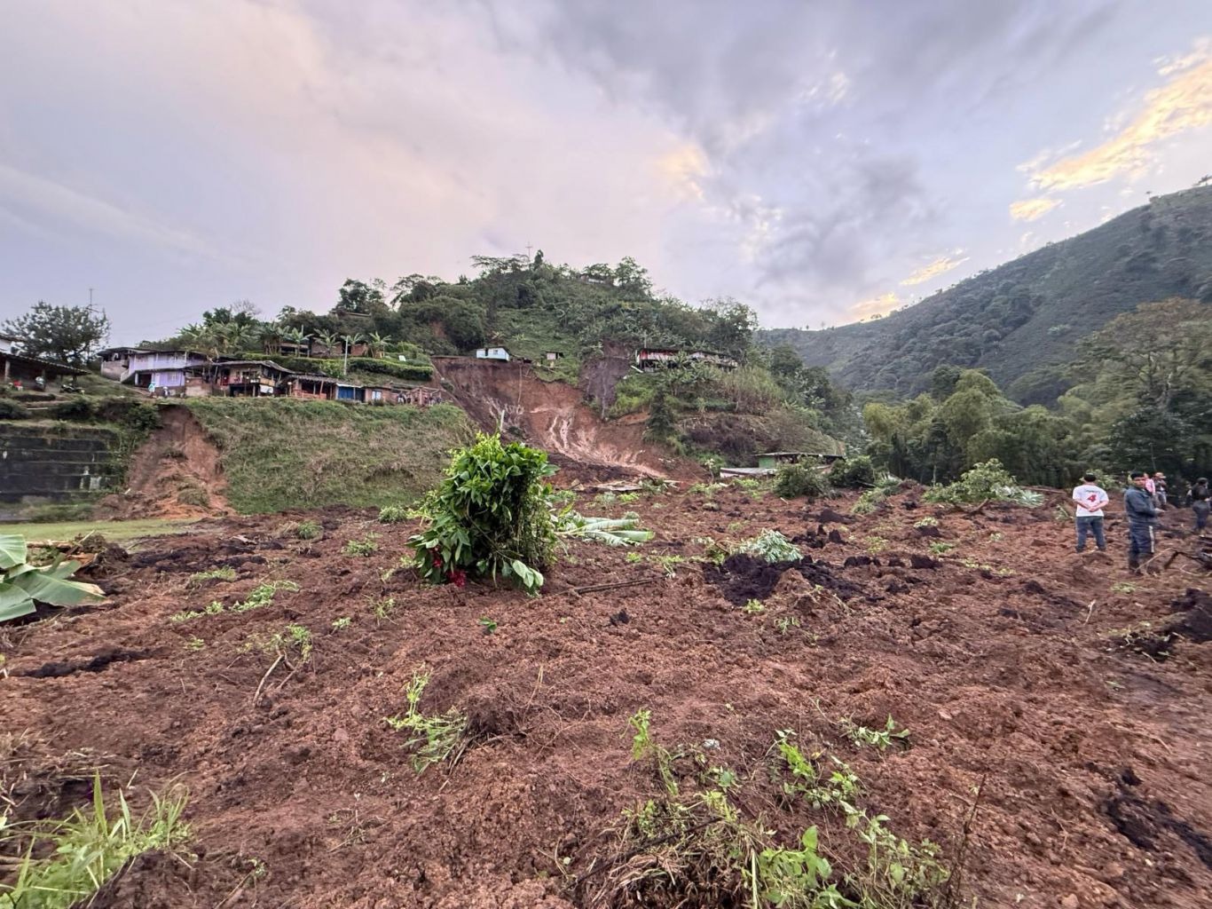 Regiões cafeeiras da Colômbia são impactadas por terremoto e algumas atividades são interrompidas…